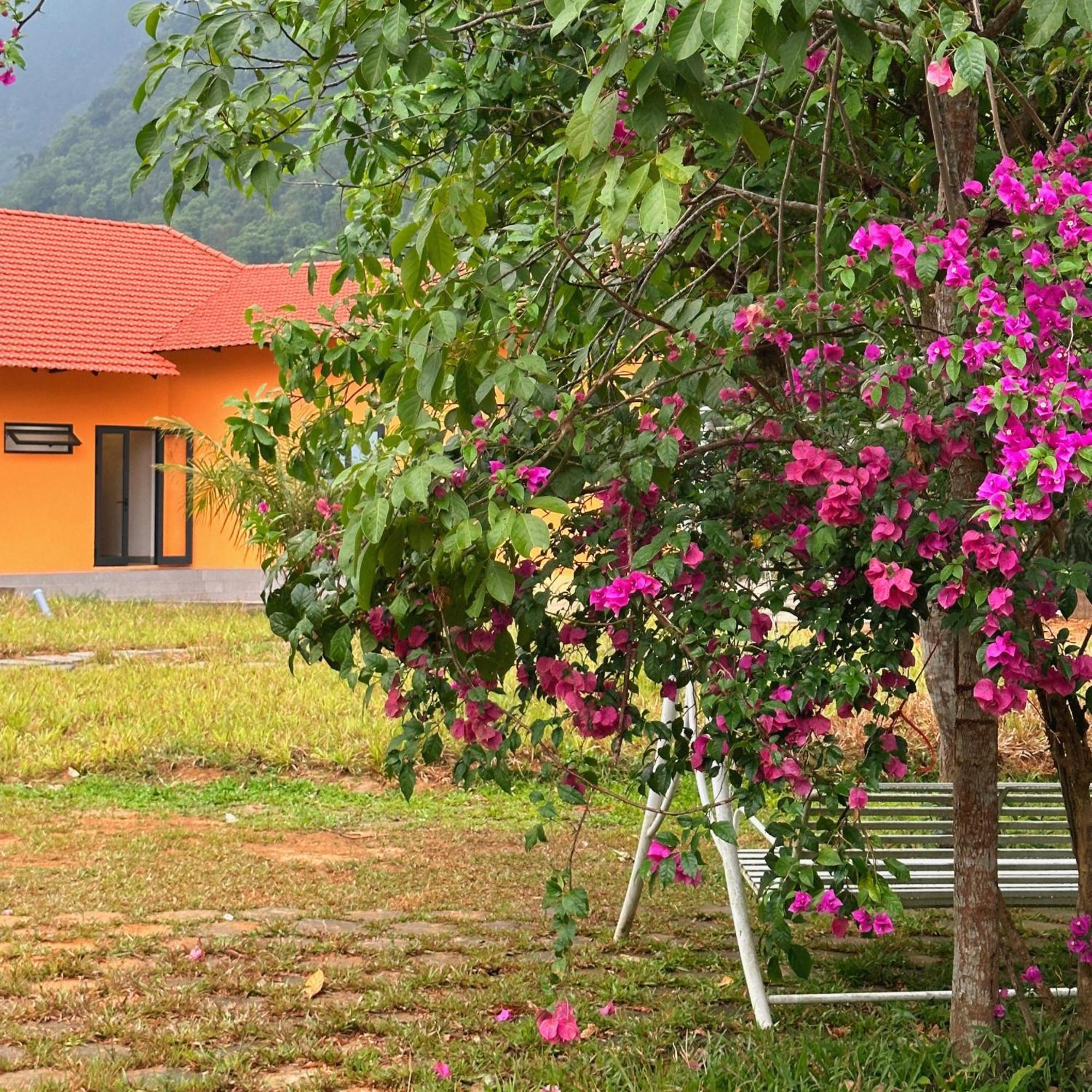 Phong Nha Eco Village Exterior foto
